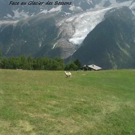 Apartment T2+cabine Independante Au Depart Des Telecabines Saint-gervais/bettex/mont D'arbois Saint-Gervais-les-Bains